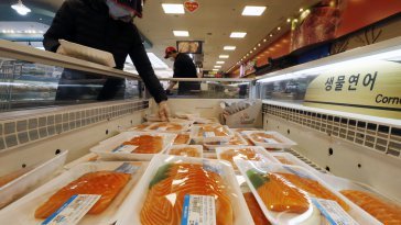 Food Security Initiative Targets Migrant Vulnerable Groups